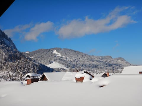 Winter, Mountain view