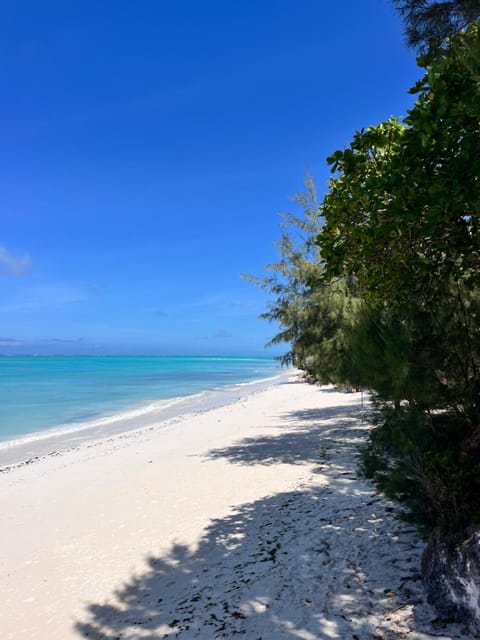 Day, Natural landscape, Beach, Sea view