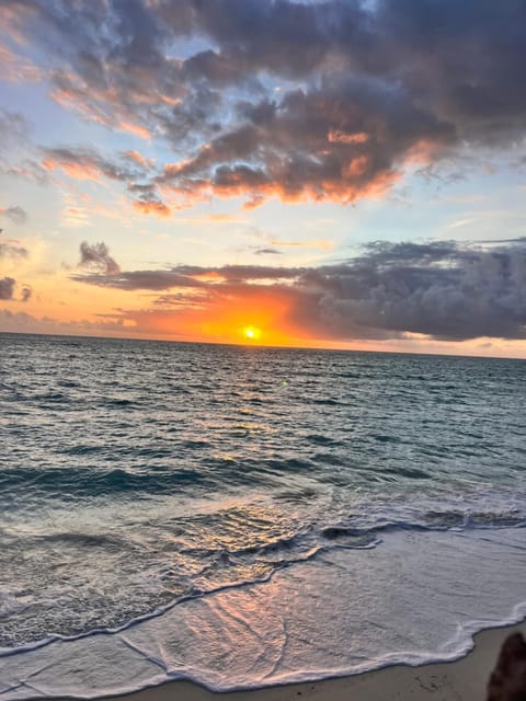 Natural landscape, Beach, Sunrise