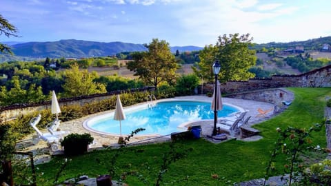 Natural landscape, Garden, Garden view, Pool view, Swimming pool, sunbed