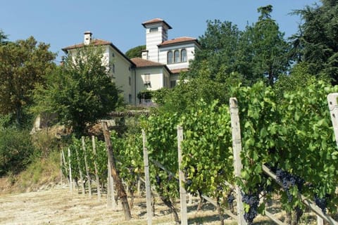Facade/entrance, Garden view