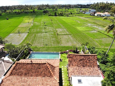 Villa O'Hea Ubud Villa in Sukawati