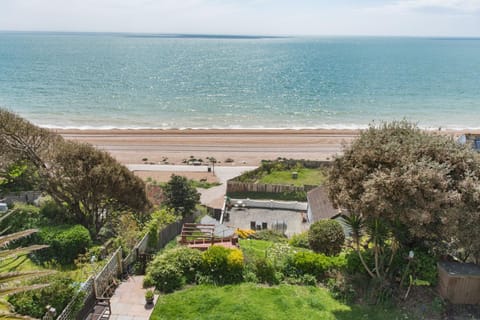 Seagulls by Bloom Stays Casa in Folkestone