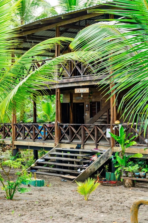 playa mecana kirita Nature lodge in Choco, Colombia