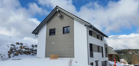 Property building, Winter