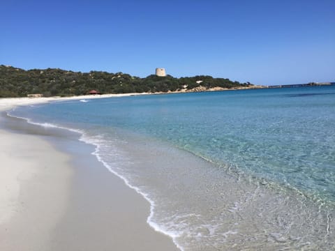 Natural landscape, Beach