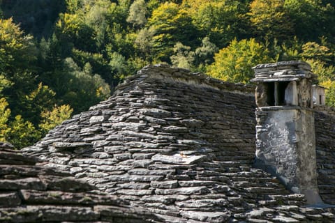 Wild Valley Rustico Grande House in Canton of Ticino