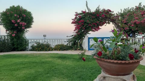 Garden, Garden view, Sea view, Street view, Sunset