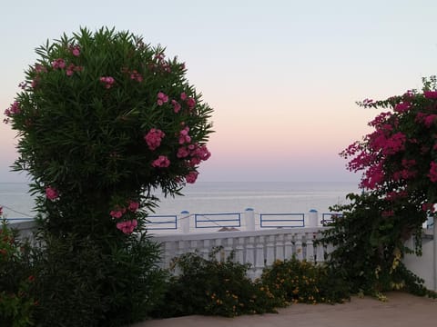 Garden, Garden view, Sea view, Street view, Sunset