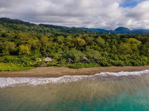 Property building, Natural landscape, Beach