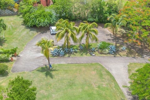 Bird's eye view, Parking