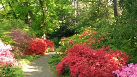 Garden, Garden view