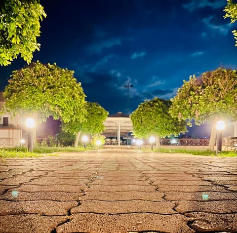 Patio, Garden