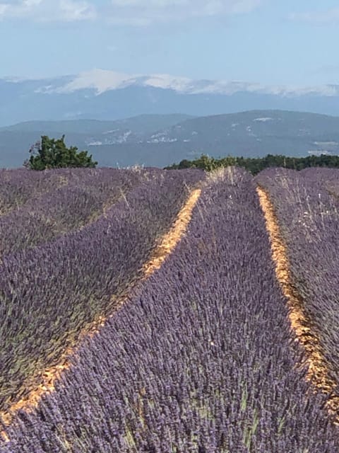 Provence Luberon Bonnieux location gite chez Marcelle Appartement in Bonnieux