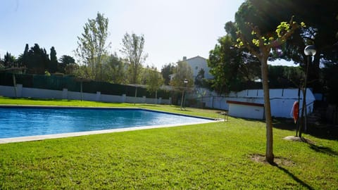 Garden, Swimming pool