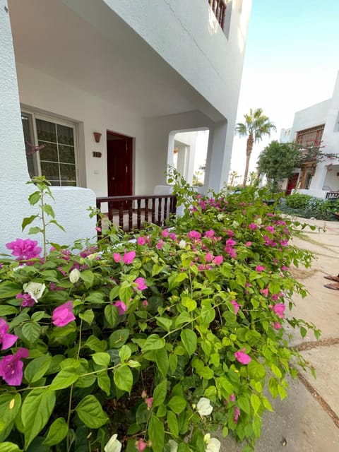 Delta Sharm Apartments with free Internet Wi-Fi Apartment in Sharm El-Sheikh