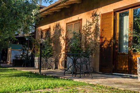 Patio, Garden, Garden view