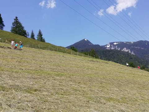 Natural landscape, Hiking