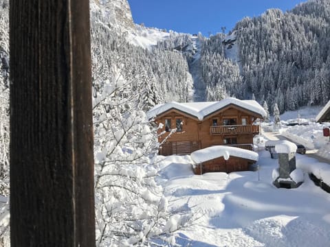 Chalet Croq'Neige Bed and Breakfast in Montriond