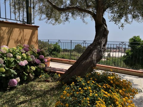 Garden, Sea view