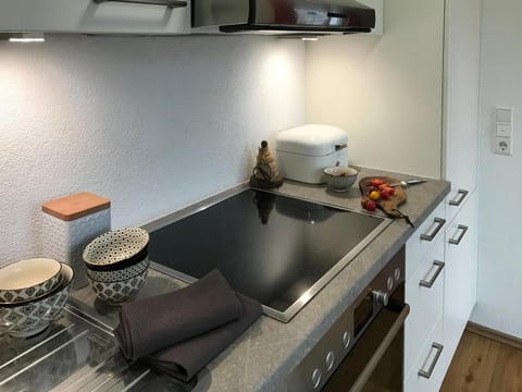 Kitchen or kitchenette, Photo of the whole room