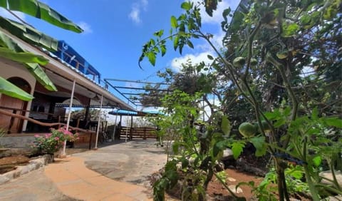Galápagos Casa Playa Mann Chambre d’hôte in Galápagos Islands