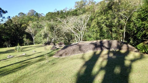 Natural landscape, Garden, Garden view