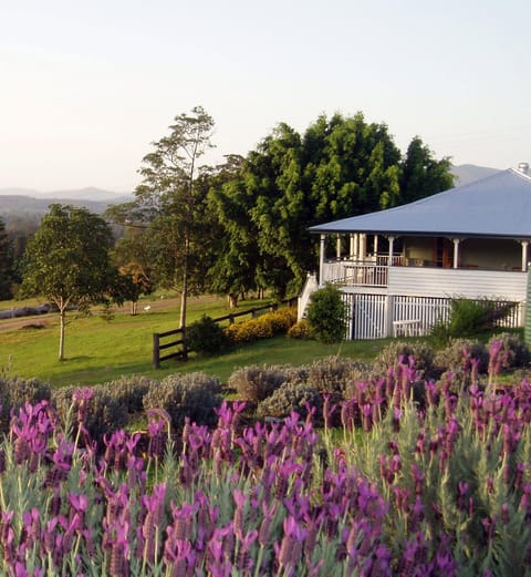 Dayboro - Blue Ridge Lavender Cottage House in Brisbane