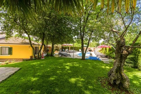 Patio, Garden, Garden view