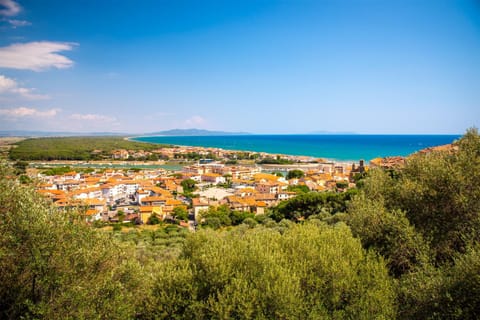 Neighbourhood, Natural landscape, Bird's eye view, City view