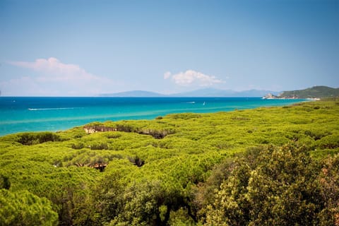 Natural landscape, Bird's eye view, Sea view