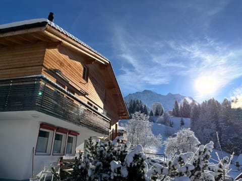 Chalet Viola Apartment in Lauterbrunnen