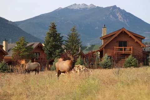 Blissful Mountain Getaway Steps to Lake Estes, Indoor Outdoor Fireplace House in Estes Park