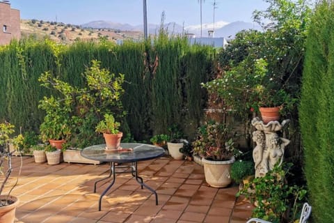 Patio, Natural landscape, Garden, Garden view