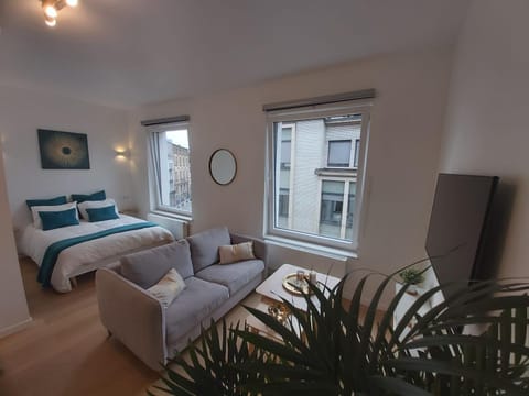 Logement luxueux dans le coeur de Bruxelles Apartment in Brussels
