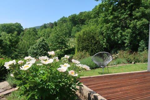 Natural landscape, Garden