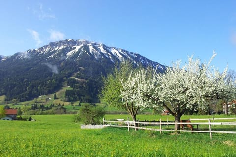 Natural landscape, Mountain view
