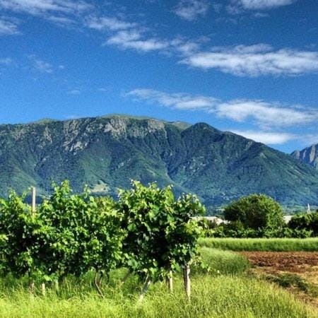 Natural landscape, Hiking, Mountain view