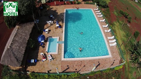 Day, Pool view, Swimming pool