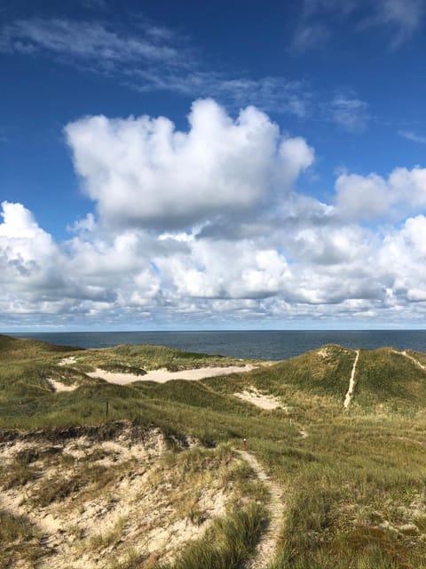 Beach, Hiking