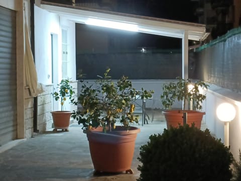 Night, Garden view