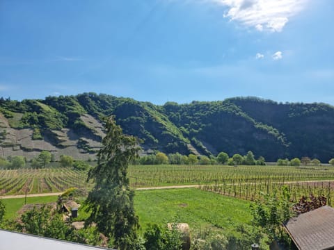 Ferienwohnung Arens Apartment in Trier-Saarburg