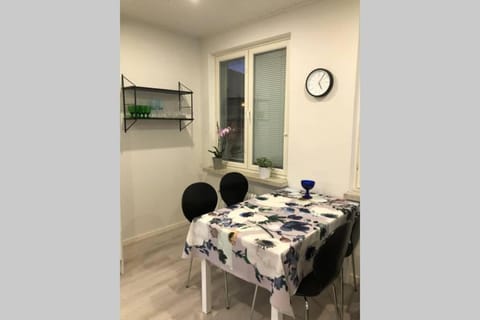 Studio Vescu Apartment in Finland