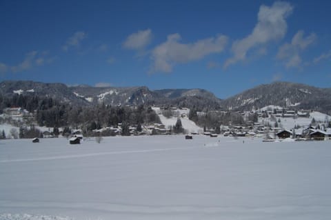 Natural landscape, Winter