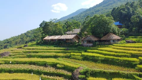 Pu Luong Ecocharm Campground/ 
RV Resort in Laos