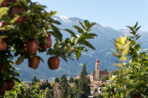 Natural landscape, Mountain view