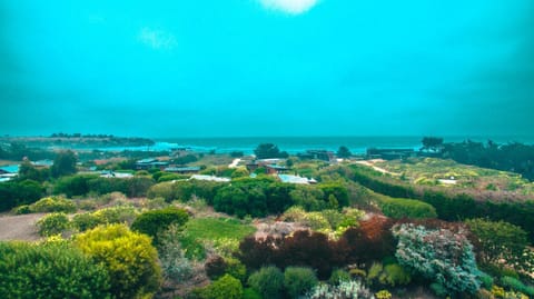 Neighbourhood, Natural landscape, Hiking, Sea view