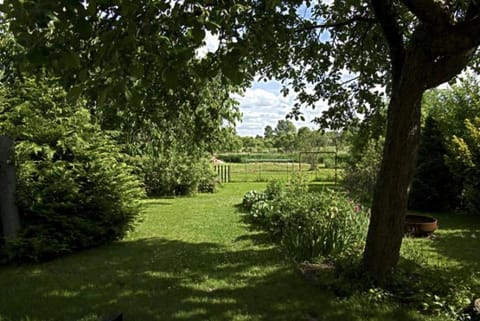 Ferienhaus am Schilfgürtel House in Röbel