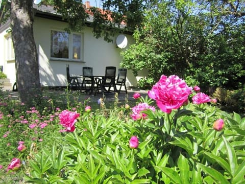 Ferienhaus am Schilfgürtel House in Röbel