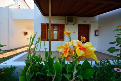 Studios Calvinos Apartment in Samos Prefecture